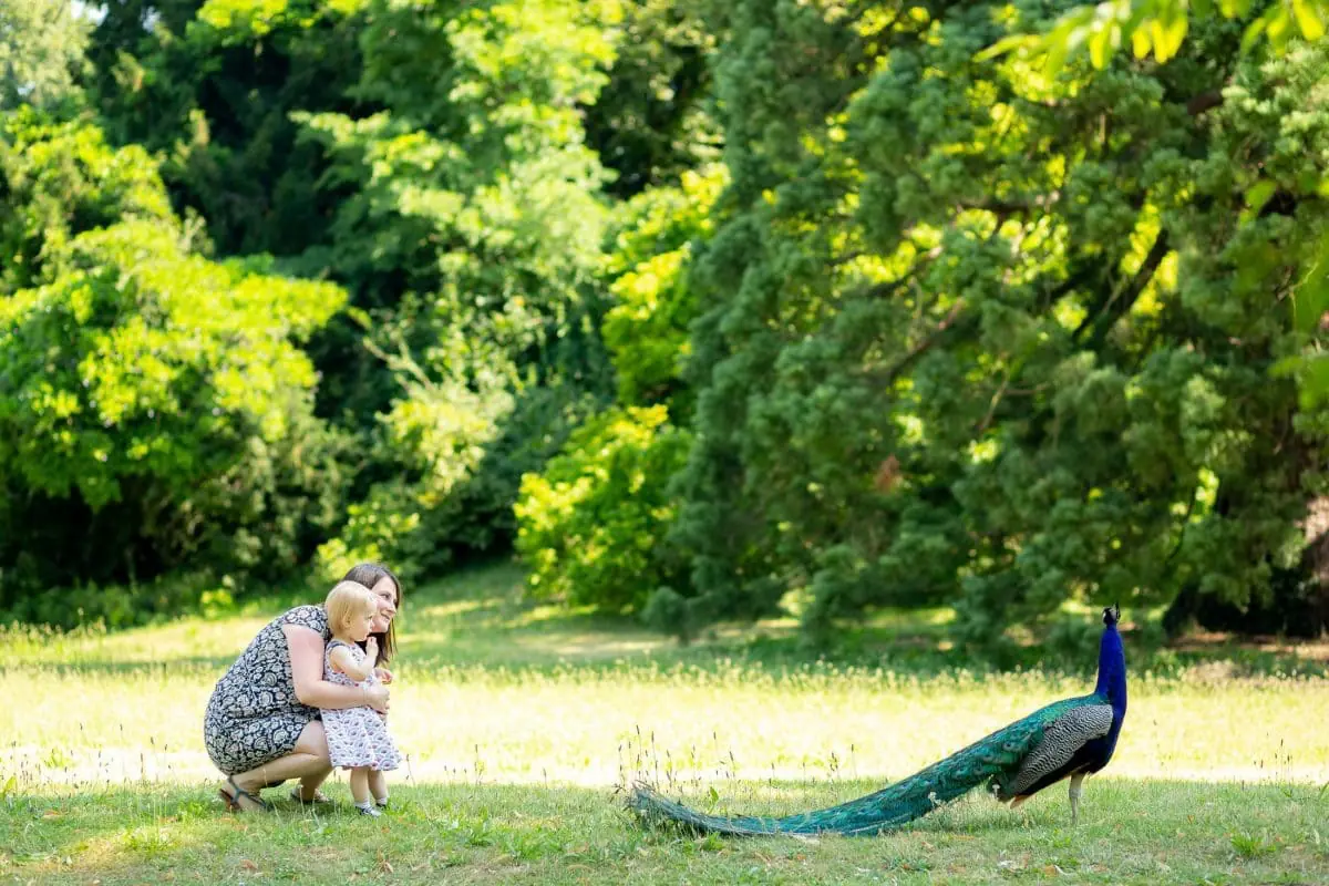 photo-animal-famille-agnes-colombo-photographe-paris