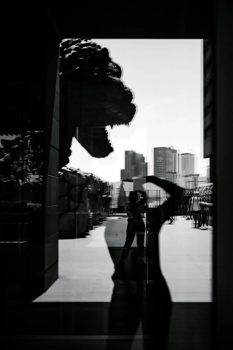 voyage-japon-godzilla-tokyo-agnes-colombo-3