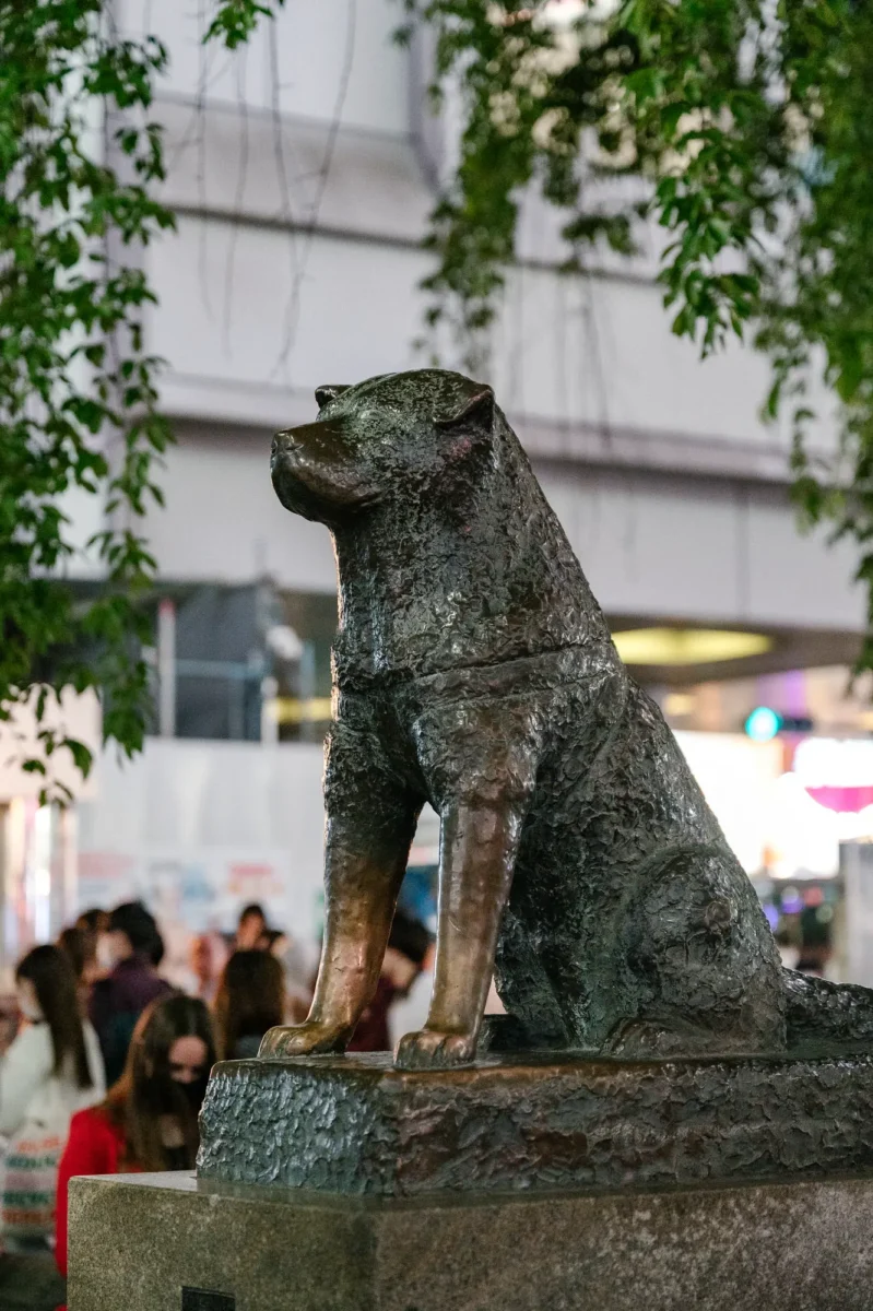 voyage-japon-tokyo-shibuya-mont-fuji-agnes-colombo-4
